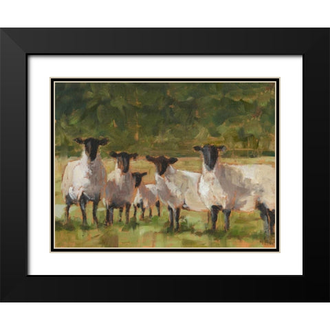 Sheep Family II Black Modern Wood Framed Art Print with Double Matting by Harper, Ethan