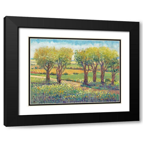 Garden Path I Black Modern Wood Framed Art Print with Double Matting by OToole, Tim