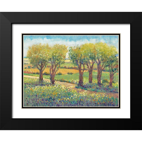 Garden Path I Black Modern Wood Framed Art Print with Double Matting by OToole, Tim