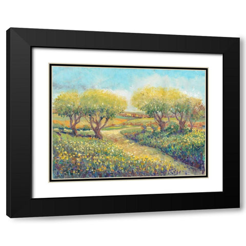 Garden Path II Black Modern Wood Framed Art Print with Double Matting by OToole, Tim