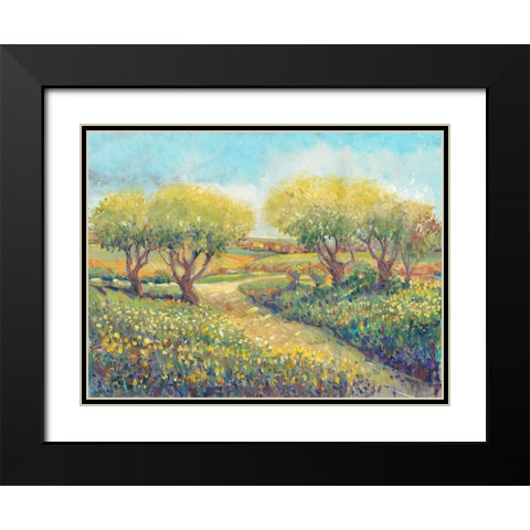 Garden Path II Black Modern Wood Framed Art Print with Double Matting by OToole, Tim
