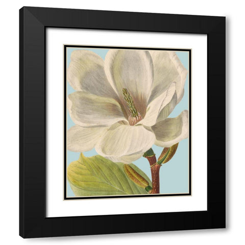 Fresh Florals I Black Modern Wood Framed Art Print with Double Matting by Vision Studio