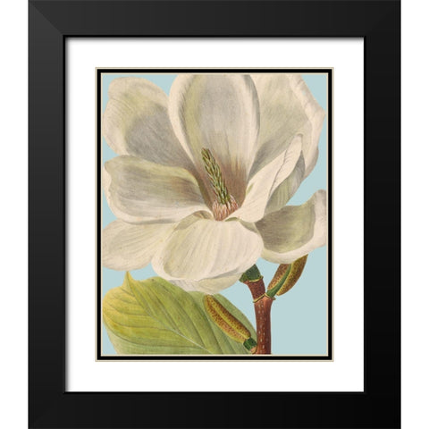 Fresh Florals I Black Modern Wood Framed Art Print with Double Matting by Vision Studio