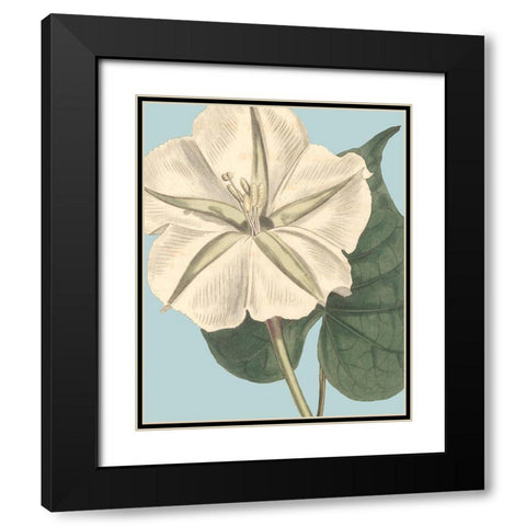 Fresh Florals IV Black Modern Wood Framed Art Print with Double Matting by Vision Studio