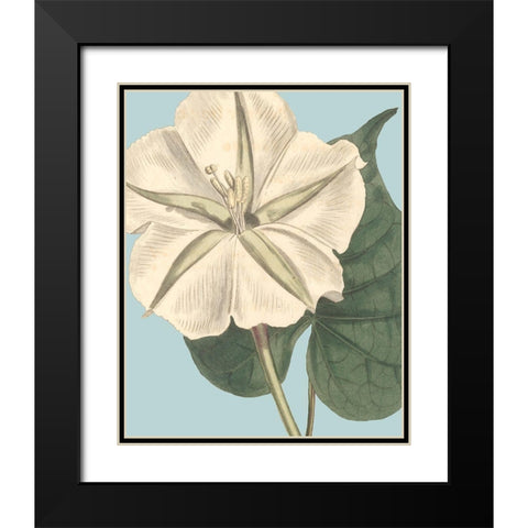 Fresh Florals IV Black Modern Wood Framed Art Print with Double Matting by Vision Studio