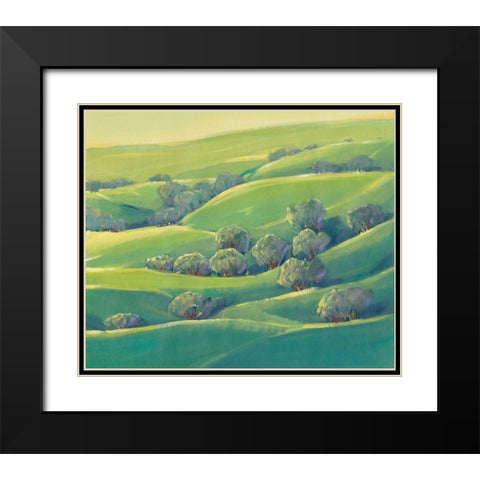 Hillside View I Black Modern Wood Framed Art Print with Double Matting by OToole, Tim