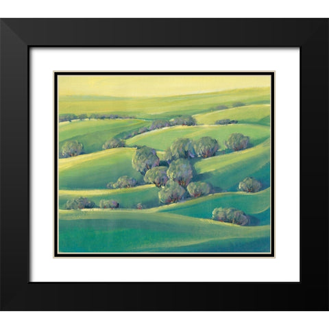 Hillside View II Black Modern Wood Framed Art Print with Double Matting by OToole, Tim
