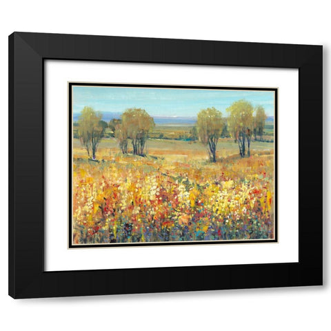Golden Fields II Black Modern Wood Framed Art Print with Double Matting by OToole, Tim