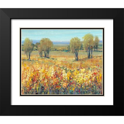 Golden Fields II Black Modern Wood Framed Art Print with Double Matting by OToole, Tim