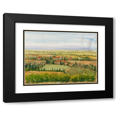 Wine Country View II Black Modern Wood Framed Art Print with Double Matting by OToole, Tim
