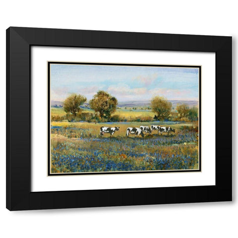 Field of Cattle I Black Modern Wood Framed Art Print with Double Matting by OToole, Tim