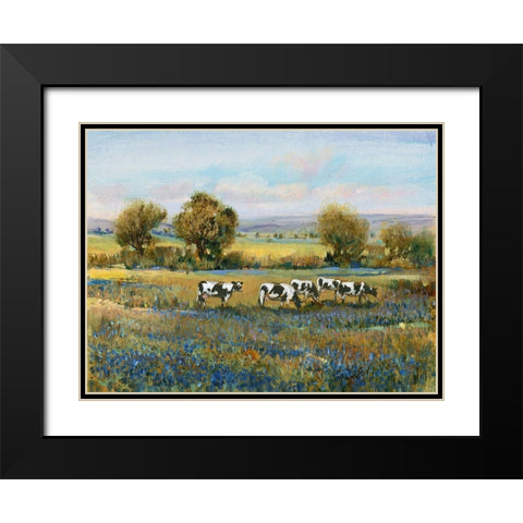 Field of Cattle I Black Modern Wood Framed Art Print with Double Matting by OToole, Tim