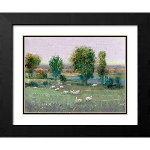Field of Sheep I Black Modern Wood Framed Art Print with Double Matting by OToole, Tim