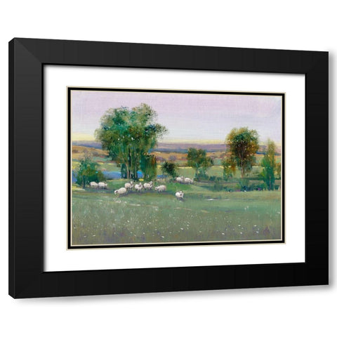 Field of Sheep II Black Modern Wood Framed Art Print with Double Matting by OToole, Tim