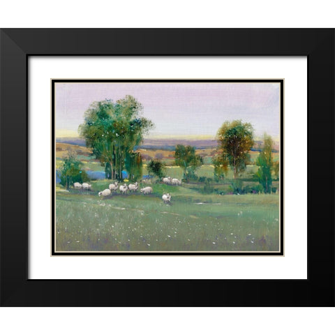 Field of Sheep II Black Modern Wood Framed Art Print with Double Matting by OToole, Tim