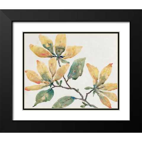 Flowering Branch II Black Modern Wood Framed Art Print with Double Matting by OToole, Tim