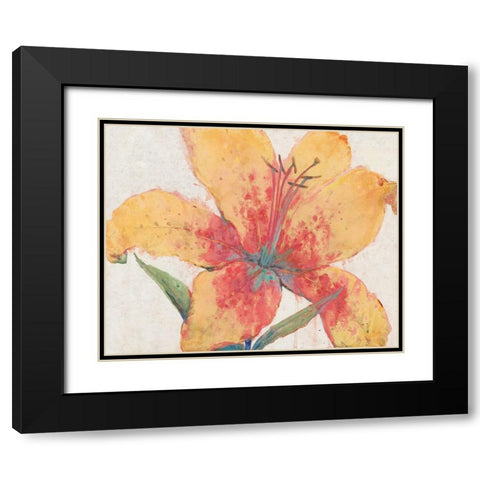 Blooming Lily Black Modern Wood Framed Art Print with Double Matting by OToole, Tim