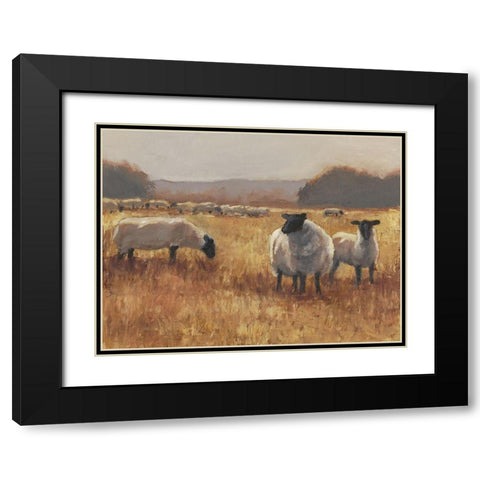 Grazing at Sunset II Black Modern Wood Framed Art Print with Double Matting by Harper, Ethan
