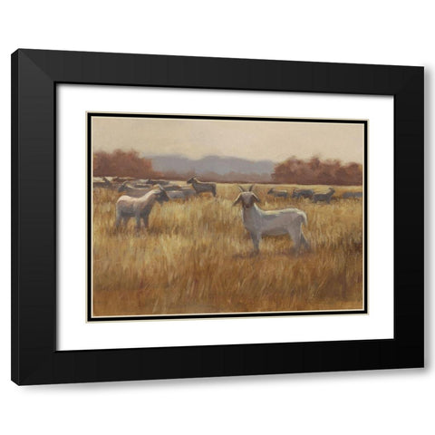 Grazing Goats I Black Modern Wood Framed Art Print with Double Matting by Harper, Ethan