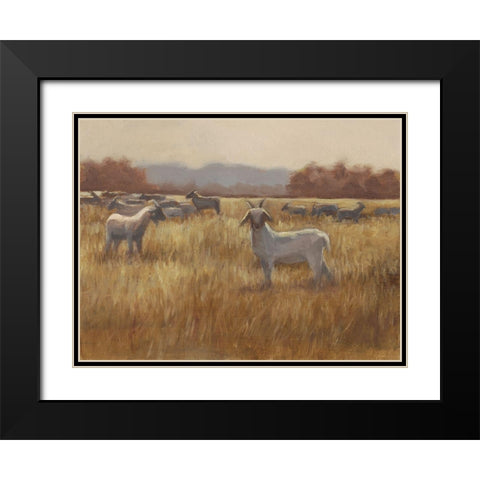 Grazing Goats I Black Modern Wood Framed Art Print with Double Matting by Harper, Ethan