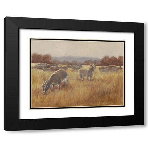 Grazing Goats II Black Modern Wood Framed Art Print with Double Matting by Harper, Ethan