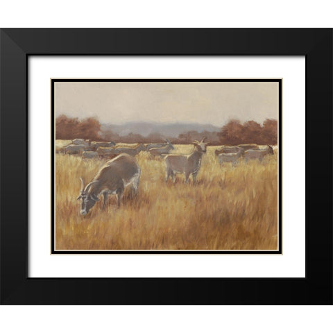 Grazing Goats II Black Modern Wood Framed Art Print with Double Matting by Harper, Ethan