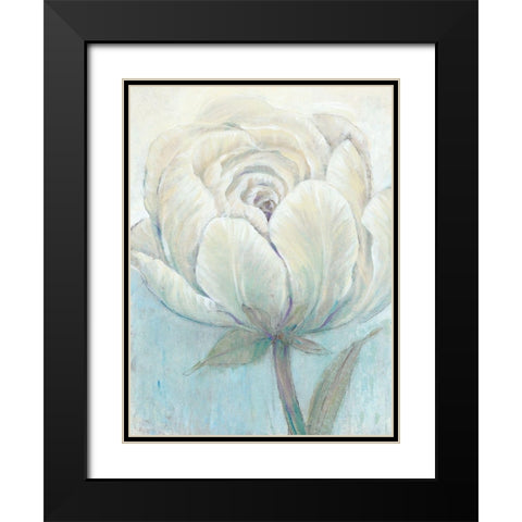 English Rose I Black Modern Wood Framed Art Print with Double Matting by OToole, Tim