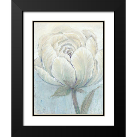 English Rose I Black Modern Wood Framed Art Print with Double Matting by OToole, Tim