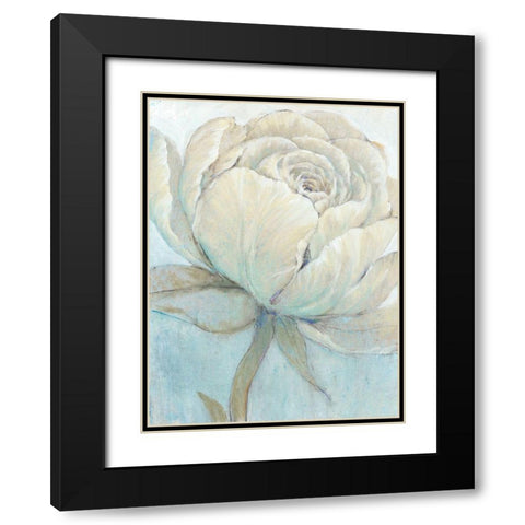 English Rose II Black Modern Wood Framed Art Print with Double Matting by OToole, Tim