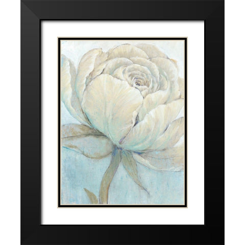 English Rose II Black Modern Wood Framed Art Print with Double Matting by OToole, Tim