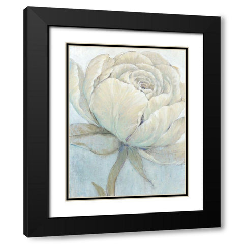 English Rose II Black Modern Wood Framed Art Print with Double Matting by OToole, Tim