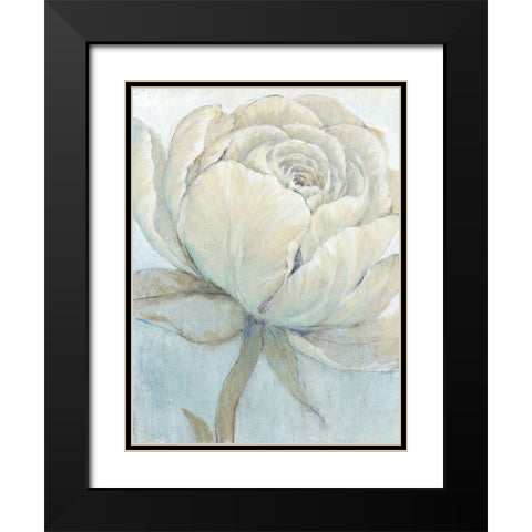 English Rose II Black Modern Wood Framed Art Print with Double Matting by OToole, Tim