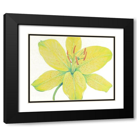 Citron Tiger Lily I Black Modern Wood Framed Art Print with Double Matting by OToole, Tim