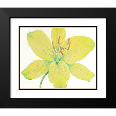 Citron Tiger Lily I Black Modern Wood Framed Art Print with Double Matting by OToole, Tim