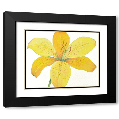 Citron Tiger Lily II Black Modern Wood Framed Art Print with Double Matting by OToole, Tim
