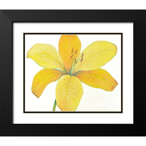 Citron Tiger Lily II Black Modern Wood Framed Art Print with Double Matting by OToole, Tim