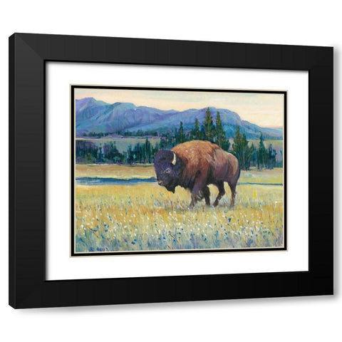 Animals of the West II Black Modern Wood Framed Art Print with Double Matting by OToole, Tim