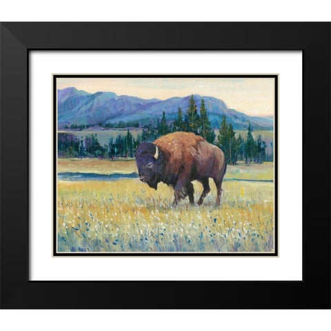 Animals of the West II Black Modern Wood Framed Art Print with Double Matting by OToole, Tim
