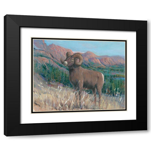 Animals of the West IV Black Modern Wood Framed Art Print with Double Matting by OToole, Tim