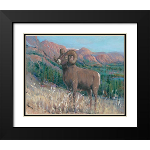 Animals of the West IV Black Modern Wood Framed Art Print with Double Matting by OToole, Tim