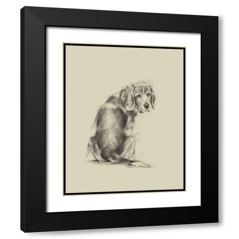 Puppy Dog Eyes I Black Modern Wood Framed Art Print with Double Matting by Harper, Ethan