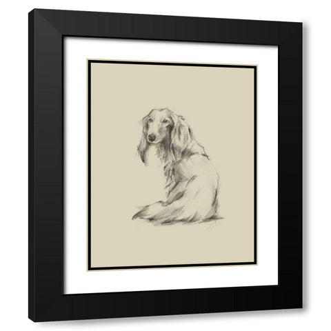 Puppy Dog Eyes II Black Modern Wood Framed Art Print with Double Matting by Harper, Ethan