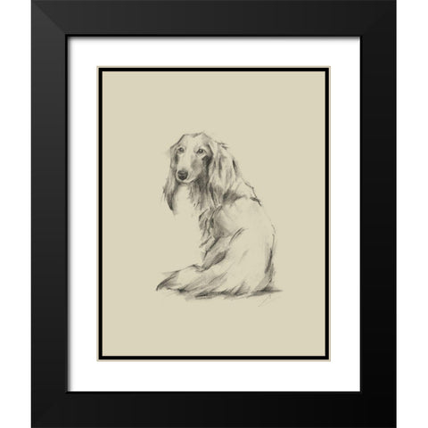 Puppy Dog Eyes II Black Modern Wood Framed Art Print with Double Matting by Harper, Ethan