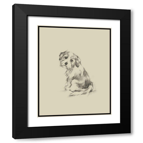 Puppy Dog Eyes III Black Modern Wood Framed Art Print with Double Matting by Harper, Ethan