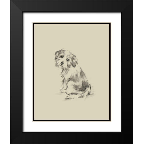 Puppy Dog Eyes III Black Modern Wood Framed Art Print with Double Matting by Harper, Ethan