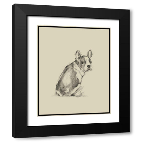 Puppy Dog Eyes IV Black Modern Wood Framed Art Print with Double Matting by Harper, Ethan