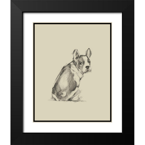 Puppy Dog Eyes IV Black Modern Wood Framed Art Print with Double Matting by Harper, Ethan
