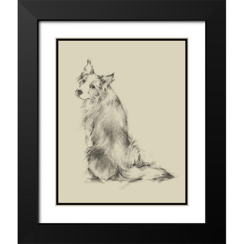 Puppy Dog Eyes VI Black Modern Wood Framed Art Print with Double Matting by Harper, Ethan