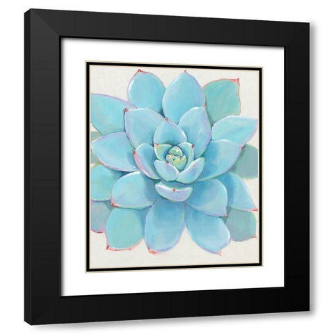 Pastel Succulent I Black Modern Wood Framed Art Print with Double Matting by OToole, Tim