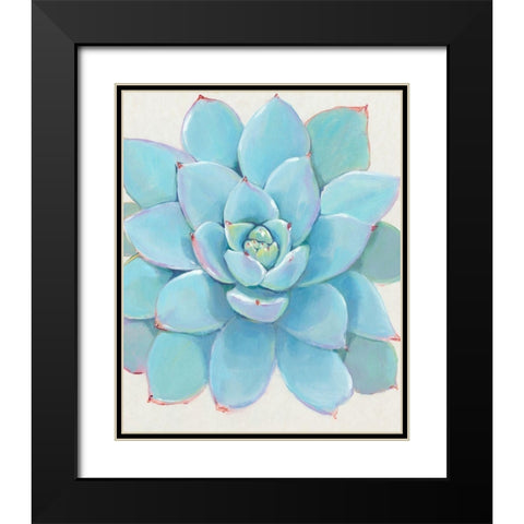 Pastel Succulent I Black Modern Wood Framed Art Print with Double Matting by OToole, Tim